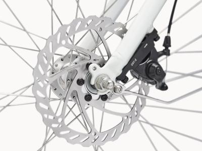 Electra Loft Go! 7D Step Thru EU M Stardust Produktbild 8