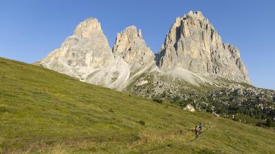 Trek Powerfly+ 4 EU M 29 Matte Mercury/Gloss Power Surg Produktbild 4