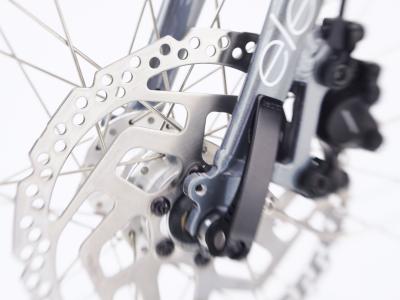 Electra Townie Path Go! 10D Step Thru EU M Holographic Produktbild 4