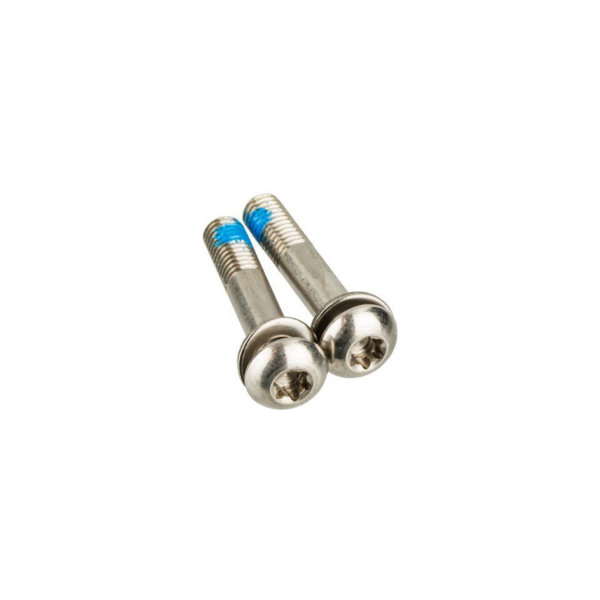 SRAM Bracket Mounting Bolts T25 Stainless 22mm Flatmount